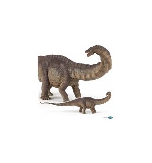 Apatosaurus