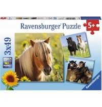 Ravensburger Puzzle - Liebe Pferde, 3x49 Teile