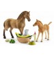 Schleich - Horse Club - Sarahs Tierbaby-Pflege