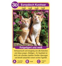 Ravensburger Spiel - Katzen Quartett