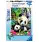 Ravensburger Puzzle - Lieber Panda, 300 XXL-Teile