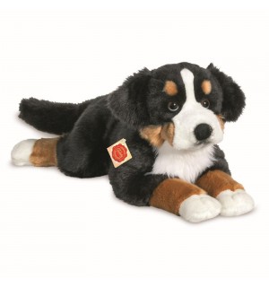 Teddy-Hermann - Berner Sennenhung liegend, 60 cm