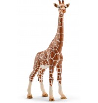 Schleich - World of Nature - Wild Life - Afrika - Giraffenkuh