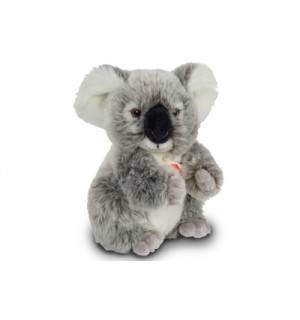 Koala 21 cm