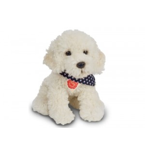 Labradoodle 30 cm