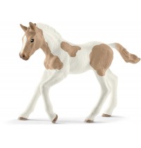Paint Horse Fohlen 