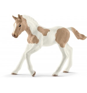Paint Horse Fohlen 