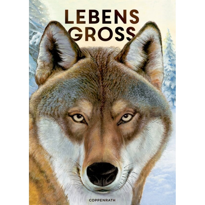 Lebensgroß - Tiere des Waldes (Nature Zoom)