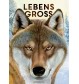 Lebensgroß - Tiere des Waldes (Nature Zoom)