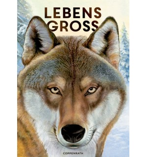 Lebensgroß - Tiere des Waldes (Nature Zoom)