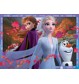 DFZ: Frozen 2          2 X 24 