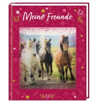 Coppenrath Verlag - Pferdefreunde - Meine Freunde mit 3-D-Bild