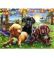 Ravensburger Spiel - Hunde Picknick