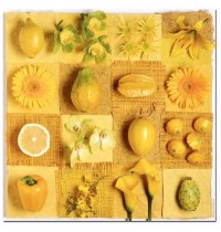 Educa - Exotic fruits and flowers Deco 3x500 Teile