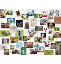 Funny Animals Collage 