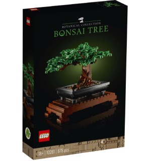 Bonsai Baum 