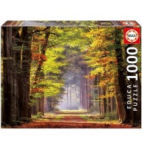 Educa - Herbstweg durch Wald 1000 Teile Puzzle