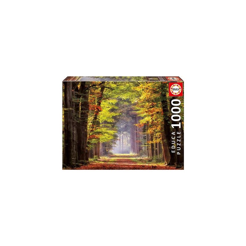 Educa - Herbstweg durch Wald 1000 Teile Puzzle