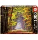 Educa - Herbstweg durch Wald 1000 Teile Puzzle