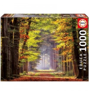 Educa - Herbstweg durch Wald 1000 Teile Puzzle