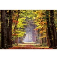 Educa - Herbstweg durch Wald 1000 Teile Puzzle