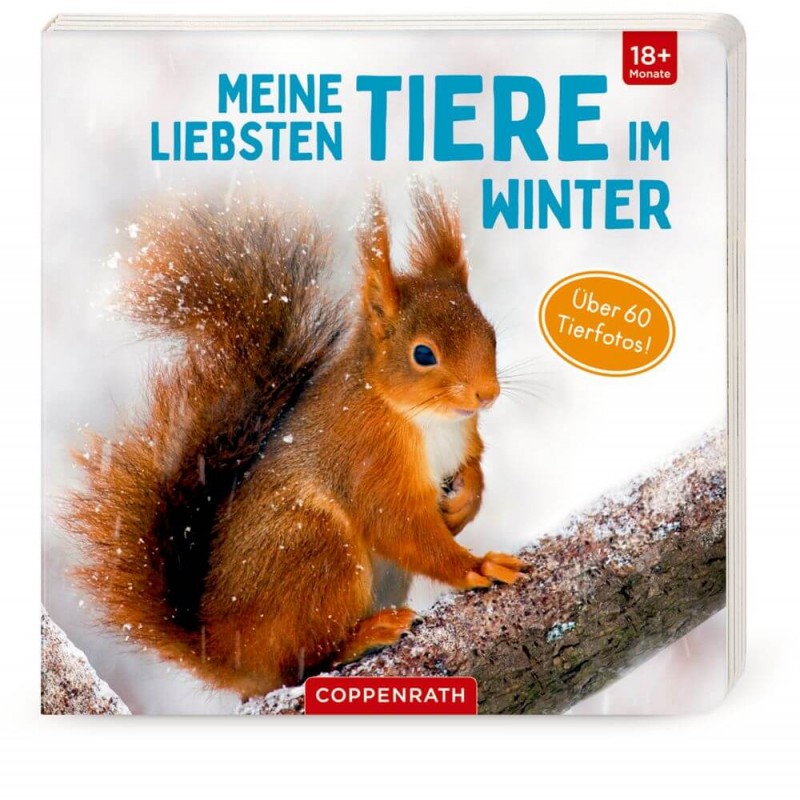 Meine liebsten Tiere im Winte 