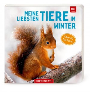 Meine liebsten Tiere im Winte 