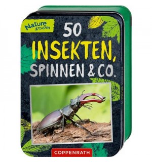 Nature Zoom - 50 Insekten