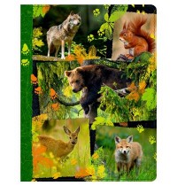 Coppenrath Verlag - Nature Zoom - Tagebuch mit Reißverschluss - Waldtiere