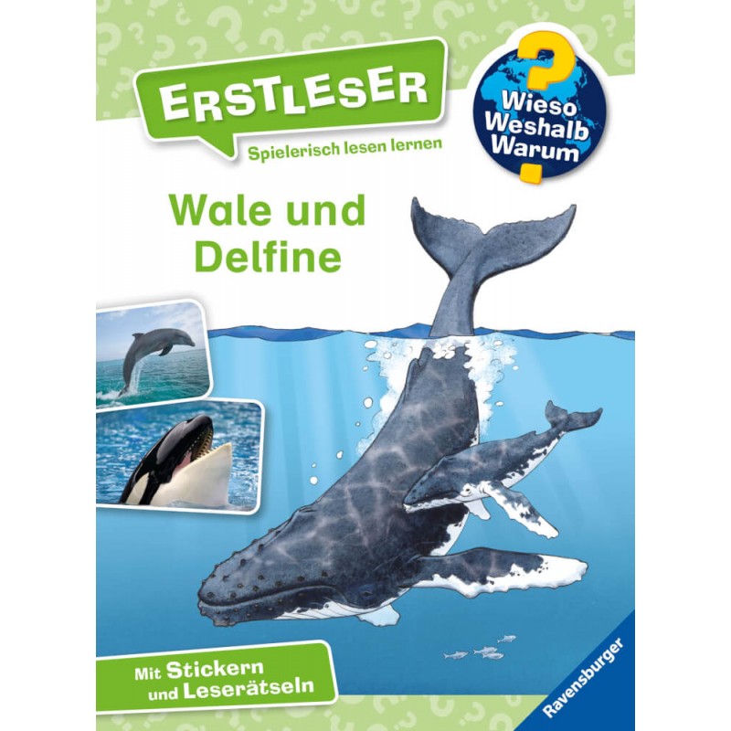 WWW Erstleser3 Wale und Delfi 