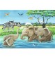 Ravensburger - Tierkinder aus aller Welt