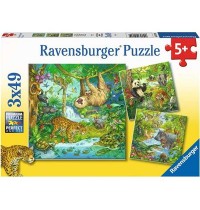 Ravensburger - Im Urwald