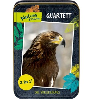 Quartett Vögel Nature Zoom