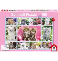 Schmidt Spiele - Puzzle - Katzenbabys, 100 Teile