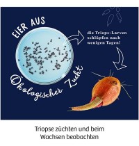 KOSMOS - Triops züchten