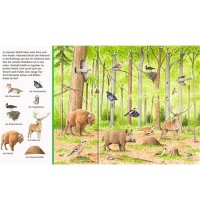 Ravensburger - Sachen suchen - Tiere im Wald