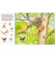 Ravensburger - Sachen suchen - Tiere im Wald