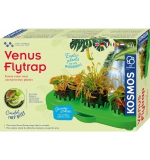 Venus Flytrap V1