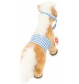 Teddy-Hermann - Pferd stehend mit Sattel 23 cm