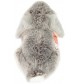 Teddy-Hermann - Widderkaninchen grau 18 cm