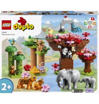 LEGO® DUPLO® 10974 - Wilde Tiere Asiens