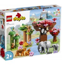 LEGO® DUPLO® 10974 - Wilde Tiere Asiens