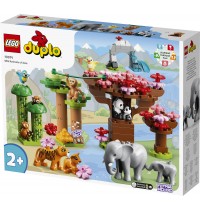 LEGO® DUPLO® 10974 - Wilde Tiere Asiens