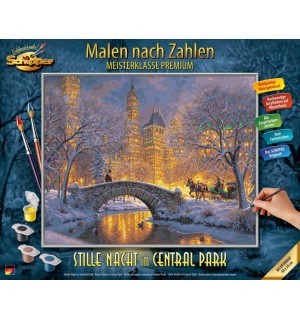 MNZ - Central Park 40x50 Stille Nacht