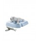Playmobil® 71070 Wiltopia - Junger Seehund