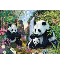 500T Pandafamilie am Wasserfa 500T Pandafamilie am Wasserfall