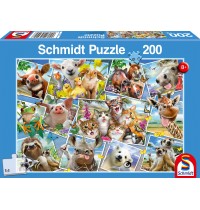 Schmidt Spiele - Tierische Selfies