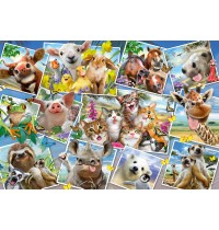 Schmidt Spiele - Tierische Selfies