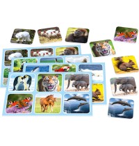 Schmidt Spiele - Zoo Lotto