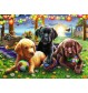 Ravensburger - Hunde Picknick